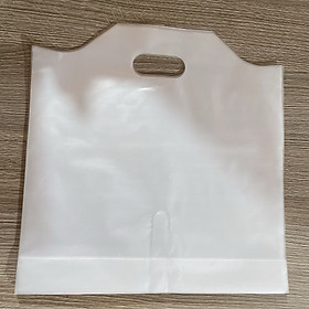 32.5 x 32.5 cm - 1kg túi nhựa nylon túi đôi đựng 2 ly