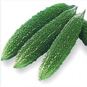 Hạt giống khổ qua gai xanh,hạt giống chuẩn F1 - Gói 10 hạt