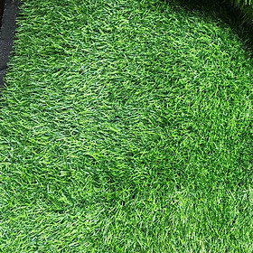 Mua Thảm cỏ nhân tạo lót sàn đẹp - 1M2
