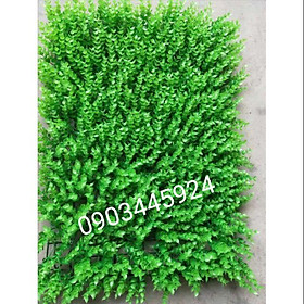 Mua Cỏ tai chuột hàng loại 1 ngọn cao 8cm- thảm cỏ