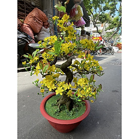 Cây Hoa Mai Bonsai Nhựa Cao 80 cm Hoa Mai Giả Trang Trí Tết