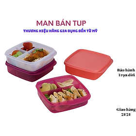 HỘP CƠM LOLLY TUP MÀU MỚI 2023, màu ngẫu nhiên, 01 hộp