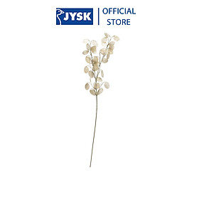 Hoa trang trí | JYSK Gregert | nhựa PP | be | C70cm