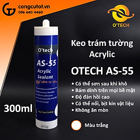 Mua Keo trám tường màu trắng sơn được Acrylic Otech AS-55