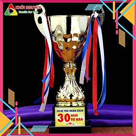Cúp kim loại giá rẻ VA4 + Free in tem Logo giải đấu