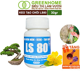 Keo Tạo Chồi LS80, Greenhome, Hũ 30gr, Tạo Mầm Tại Vị Trí Bất Kỳ, Có Chọn Lọc, Không Suy Cây, Đen Chồi