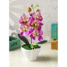 Chậu cây hoa giả vân nổi miệng loe lượn sóng hoa lan hồ điệp