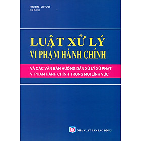 Luật Xử Lý Vi Phạm Hành Chính Và Hướng Dẫn Mới Nhất Về Xử Phạt Vi Phạm Hành Chính Trong Các Lĩnh Vực