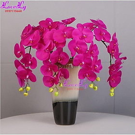 Mua Hoa giả - Cành hoa lan hồ điệp cao su giả giống thật đến 99% cao cấp