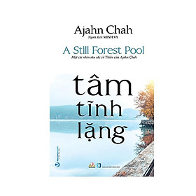 Hình ảnh Tâm Tĩnh Lặng - A Still Forest Pool