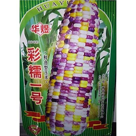 Hạt Giống bắp nếp lai F1 Nếp Thái Hồng - 1 gói 50gram