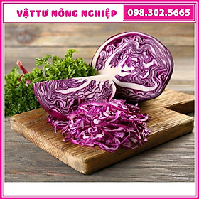 Hạt giống bắp cải, cải bắp tím F1 cao sản - gói 1g - nảy mầm tốt, chất lượng cao