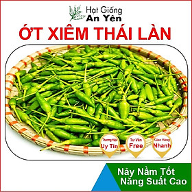 Mua Hạt giống Ớt Xiêm Thái Lan thu hoạch sớm  dễ trồng  nảy mầm cao  sinh trưởng khoẻ