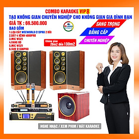 Mua Dàn karaoke gia đình loa C15pro giá 69 5 triệu đồng - Hàng chính hãng
