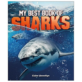 Hình ảnh My Best Book of Sharks