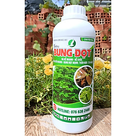 Mua SIÊU BUNG ĐỌT 1 LÍT CHUYÊN CHO MAI - Giúp cây tăng trưởng nhanh  nhú đọt mạnh  giúp lá giày xanh bóng khoẻ