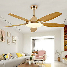 Mua Quạt trần đèn trang trí phòng khách đẹp hiện đại - HLFAN080