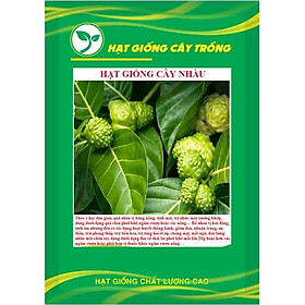 Hạt giống cây nhàu ( Morinda Citrufolia ) KNS3726 - Gói 50 hạt