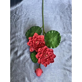 Mua Cành hoa sen mút dài đủ màu