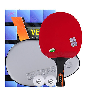 Vợt Bóng Bàn 729