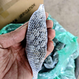 Mua 5 túi lưới phân dê đặt gốc hoa lan. Phân dê khô đã qua xử lý