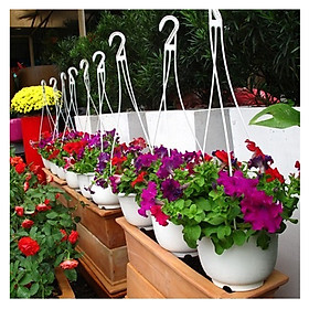 Hình ảnh 10 chậu nhựa treo trồng cây trang trí nhà cửa chuyên dụng, nhựa ABS trồng hoa ,trồng rau (tặng 10 dây treo)