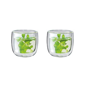 Set 2 cốc trà ZWILLING SORRENTO 2 PIECE TEA GLASS SET 240ml hàng chính hãng