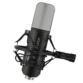 Professional Condenser Studio Broadcast & Recording Microphone +Shock Mount