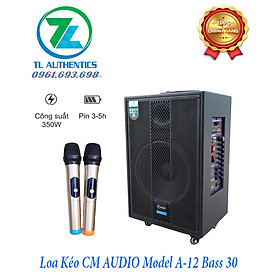 Loa kéo bluetooth CMAUDIO model A12 bass 30,hàng chính hãng nhập khẩu thế hệ 2024