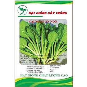 Hạt giống rau cải ngọt ăn non - 1 gói 10gram