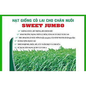 Hạt cỏ chăn nuôi SWEET JUMBO 1kg