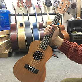 Mua ĐÀN UKULELE CONCERT ĐẸP
