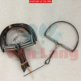 Mua Bẫy Chuột bán nguyệt sử dụng hiệu quả cho tất cả các loại chuột