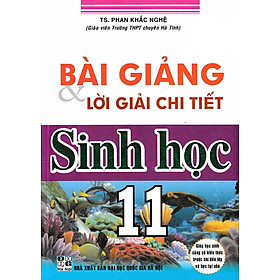 BÀI GIẢNG VÀ LỜI GIẢI CHI TIẾT SINH HỌC 11