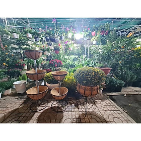 Mua Giỏ hoa đứng 2 tầng xơ dừa cho phòng khách-sân vườn