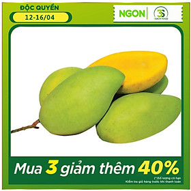 Chỉ Giao HCM - Xoài Cát Hòa Lộc 500gr trái - Chuẩn An Toàn VietGap