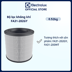 Mua Bộ lọc không khí Electrolux FA31-202GY dòng A3 cùng với lọc than hoạt tính  Hàng chính hãng 