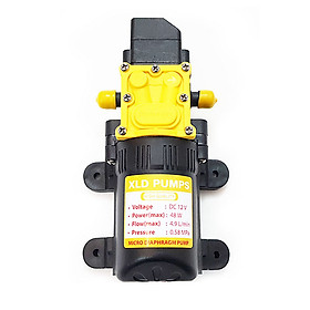 Mua Bơm nước mini áp lực 12V 48W XLD 4.9L tự động