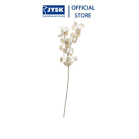 Mua Hoa trang trí | JYSK Gregert | nhựa PP | be | C70cm