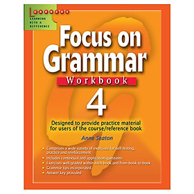 Focus On Grammar 4