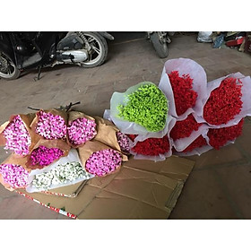 Mua Hoa bayby hồng khô 500g