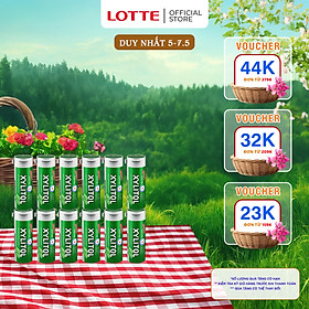 Combo 12 hũ Kẹo Gum không đường Lotte Xylitol - Hương Lime Mint 26,1 g