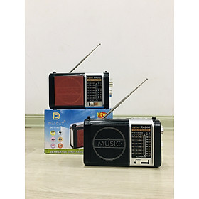 Sony Walkman Radio cassette player FX 811 Máy nghe nhạc cassette