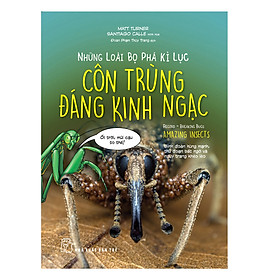 Những Loài Bọ Phá Kỷ Lục - Côn Trùng Đáng Kinh Ngạc