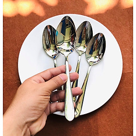 Mua Set 5 muỗng cơm cao cấp kiểu trơn Inox304 ODILE008