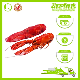 [GIAO NHANH HCM] Tôm Hùm Baby Canada Hấp - 1 Con