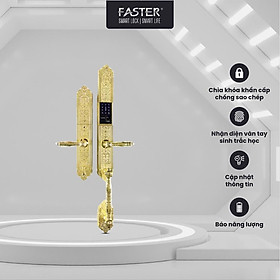 Mua Khóa đại sảnh FS009-24K FASTER mở bằng mật mã  vân tay  thẻ từ  an toàn cho gia đình