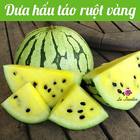 Hạt giống Dưa Hấu Táo Ruột Vàng - DỄ TRỒNG