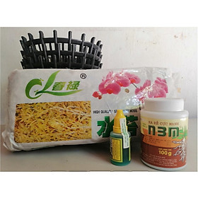 COMBO 5 CHẬU NHỰA GIẢ GỖ FI20 + 1 TẢO KHÔ (TẢO MỸ) + 1 N3M 100G + 1 CHẾ PHẨM HÙNG NGUYỄN