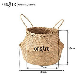 Giỏ cói trồng cây ONGTRE /đựng quần áo/decor tự nhiên có quai/giỏ cói đựng đồ nhiều kích thước